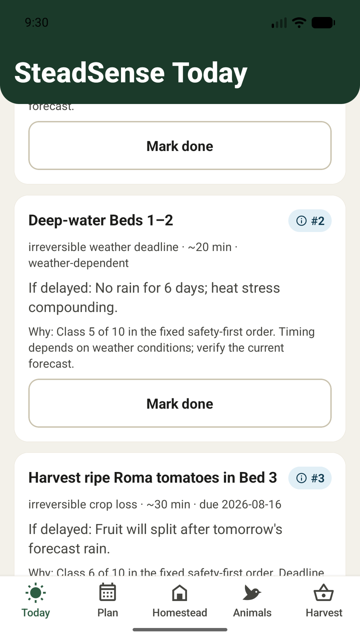 SteadSense Today screen: ranked tasks showing priority class, the consequence of delaying each one, and the reason codes behind it.